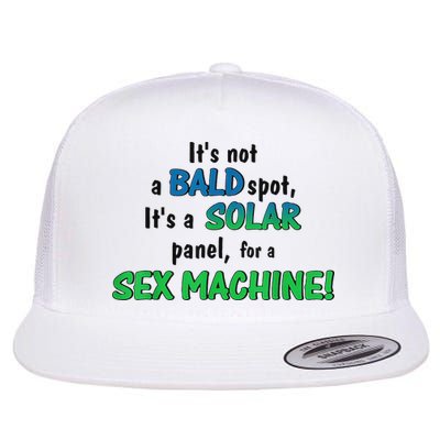 ItS Not A Bald Spot ItS A Solar Panel For A S3x Machine Flat Bill Trucker Hat