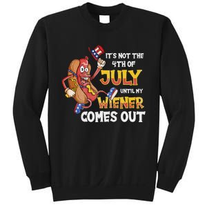 Its Not A Party Until My Wiener Comes Out 4th of July Wiener Sweatshirt