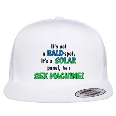Its Not A Bald Spot Its A Solar Panel Flat Bill Trucker Hat