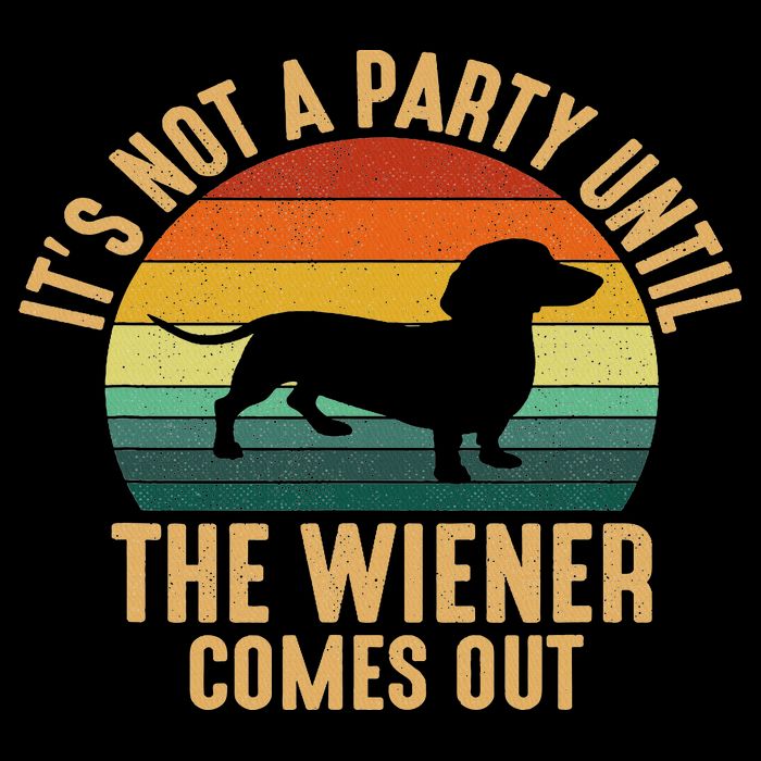 It’s Not A Party Until Wiener Comes Out, Funny Dachshund Hoodie