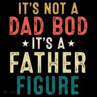 It's Not A Dad Bod Its A Father Figure Fathers Day Stripe Pom Pom Beanie