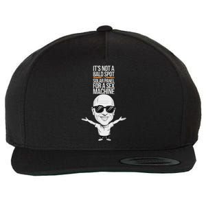 ItS Not A Bald Spot ItS A Solar Panel For A Sex Machine Wool Snapback Cap