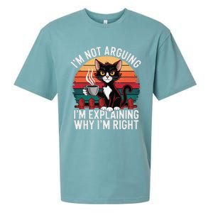 IM Not Arguing IM Just Explaining Why IM Right Funny Cat Sueded Cloud Jersey T-Shirt