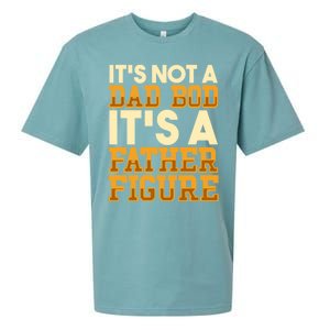 Its Not A Dad Bod ItS A Father Figure Dad Bod Sueded Cloud Jersey T-Shirt