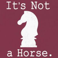 It's Not A Horse Funny Chess Game Gifts For Chess Lovers 16oz Travel Tumbler