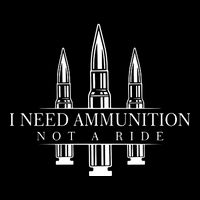 I Need Ammunition Not A Ride Wool Snapback Cap