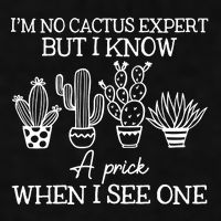 IM No Cactus Expert But I Know A Prick When I See One Ladies PosiCharge Tri-Blend Wicking Tank