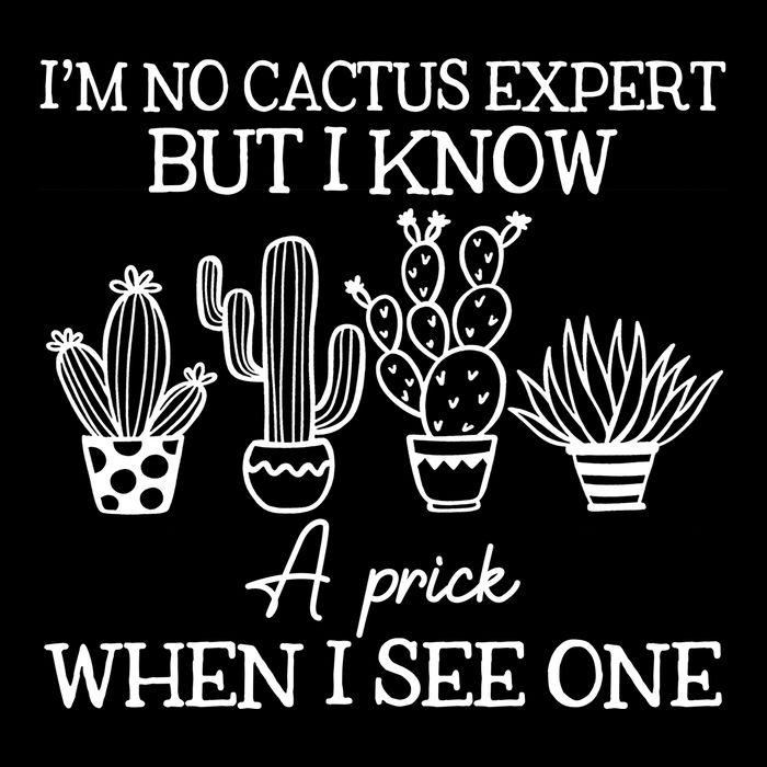 IM No Cactus Expert But I Know A Prick When I See One 7-Panel Snapback Hat