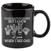 IM No Cactus Expert But I Know A Prick When I See One 11oz C Handle Ceramic Mug