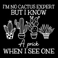 IM No Cactus Expert But I Know A Prick When I See One Flat Bill Trucker Hat