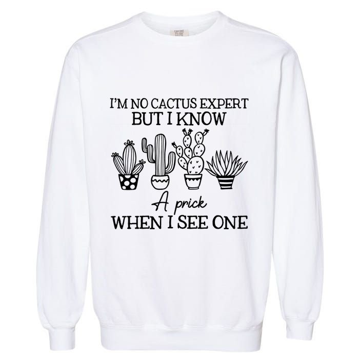 IM No Cactus Expert But I Know A Prick When I See One Garment-Dyed Sweatshirt