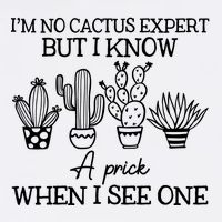 IM No Cactus Expert But I Know A Prick When I See One Garment-Dyed Sweatshirt