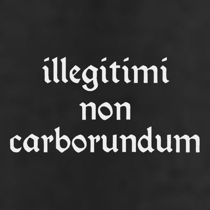 Illegitimi Non Carborundum Adult Drive Performance Visor