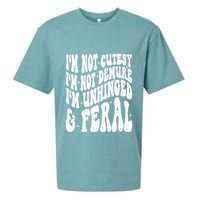 IM Not Cutesy IM Not Demure IM Unhinged And Feral Sueded Cloud Jersey T-Shirt
