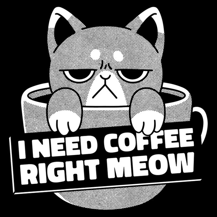 I Need Coffee Right Meow Mug