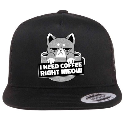 I Need Coffee Right Meow Flatbill Hat