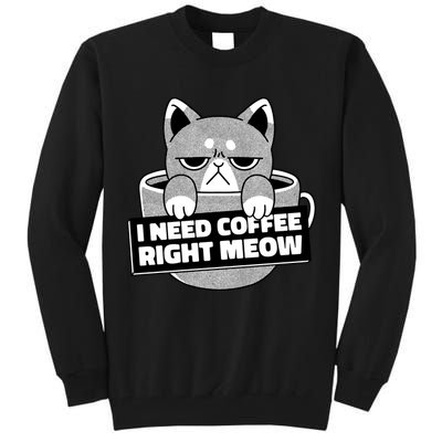 I Need Coffee Right Meow Tall Sweatshirt