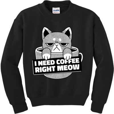 I Need Coffee Right Meow Kids Sweatshirt