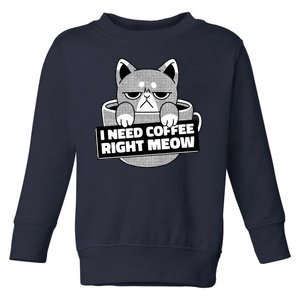 I Need Coffee Right Meow Toddler Sweatshirt