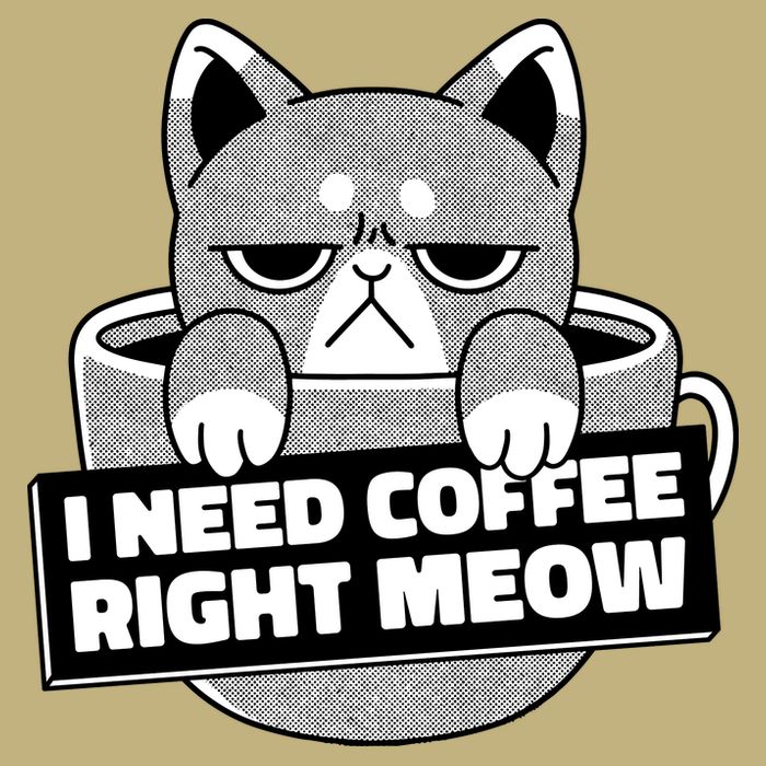 I Need Coffee Right Meow T-Shirt