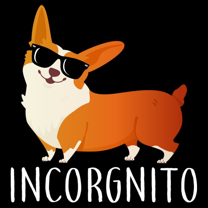 Incorgnito Corgi Dog City Backpack