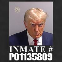 Inmate Number Donald Trump Mugshot 7 Panel Mesh Trucker Snapback Hat