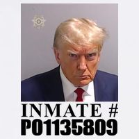 Inmate Number Donald Trump Mugshot Trucker Hat