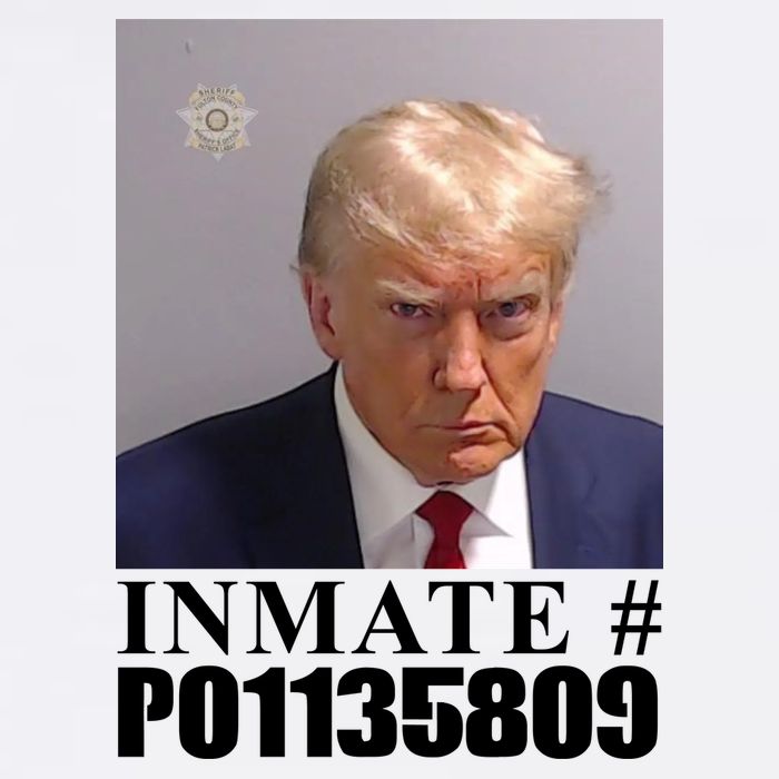 Inmate Number Donald Trump Mugshot Trucker Hat