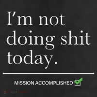 I’m Not Doing Shit Today Mission Accomplished Microfiber Hand Towel