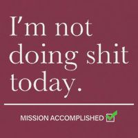 I’m Not Doing Shit Today Mission Accomplished 16oz Travel Tumbler