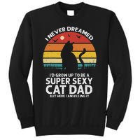 I Never Dreamed ID Grow Up To Be A Super Sexy Cat Dad Funny Sweatshirt