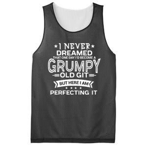 I Never Dreamed Grumpy Old Git Mesh Reversible Basketball Jersey Tank