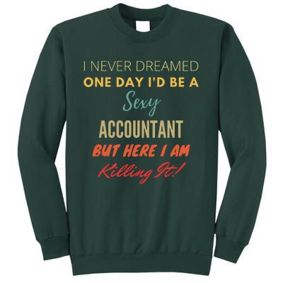 I Never Dreamed One Day Id Be A Sexy Accountant Sweatshirt