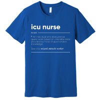 Icu Nurse Funny Definition Gift Premium T-Shirt