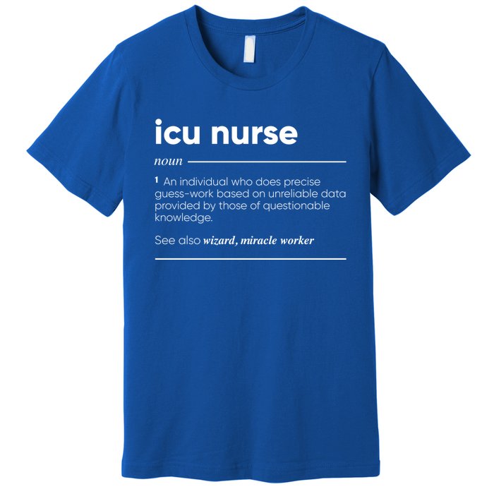 Icu Nurse Funny Definition Gift Premium T-Shirt