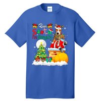 IM Naughty Funny Joke Xmas Santa Reindeer Pit Bull Owner Funny Gift Tall T-Shirt