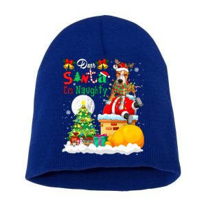 IM Naughty Funny Joke Xmas Santa Reindeer Pit Bull Owner Funny Gift Short Acrylic Beanie