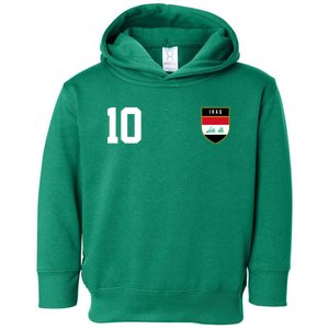 Iraq Nation Football Soccer 10 Jersey Toddler Hoodie