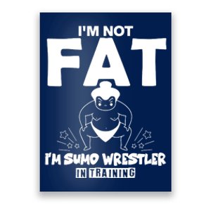 IM Not Fat Poster