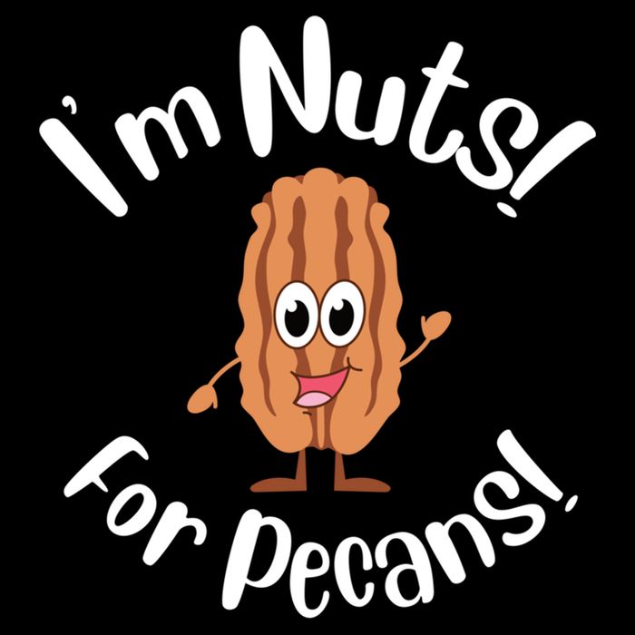 I’m Nuts For Pecans National Pecan Month Texas Tree Pies Meaningful Gift Mug