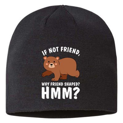 If Not Friend Why Friend Shaped Funny Bear Sustainable Beanie