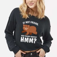 If Not Friend Why Friend Shaped Funny Bear Cropped Pullover Crew