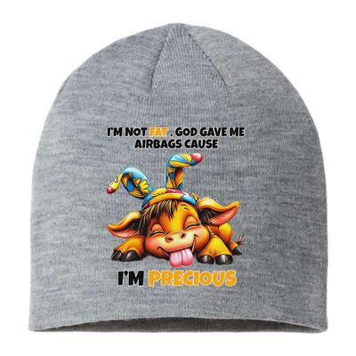 IM Not Fat God Gave Me Airbags Cause IM Precious Sustainable Beanie