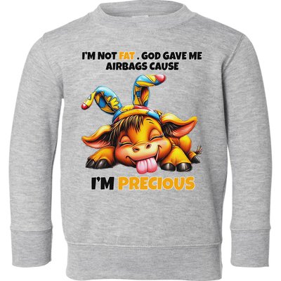 IM Not Fat God Gave Me Airbags Cause IM Precious Toddler Sweatshirt