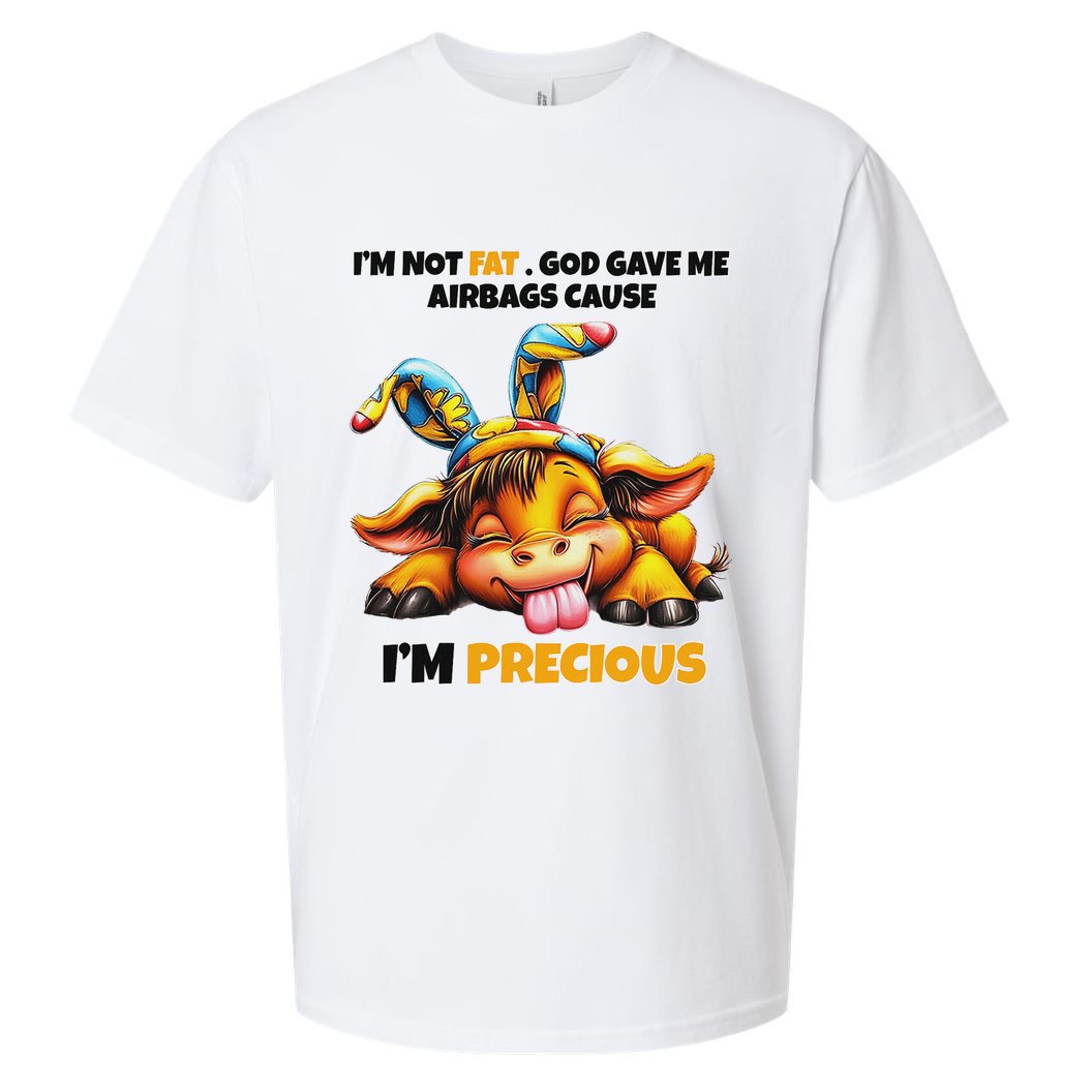 IM Not Fat God Gave Me Airbags Cause IM Precious Sueded Cloud Jersey T-Shirt