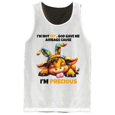 IM Not Fat God Gave Me Airbags Cause IM Precious Mesh Reversible Basketball Jersey Tank