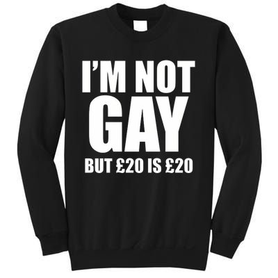 Im Not Gay But 20 Sweatshirt