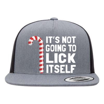 ItS Not Going To Lick Itself Flat Bill Trucker Hat