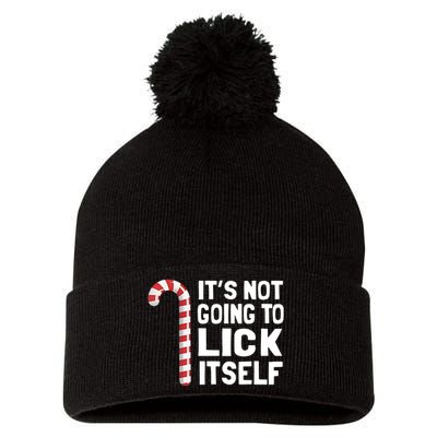 ItS Not Going To Lick Itself Pom Pom 12in Knit Beanie