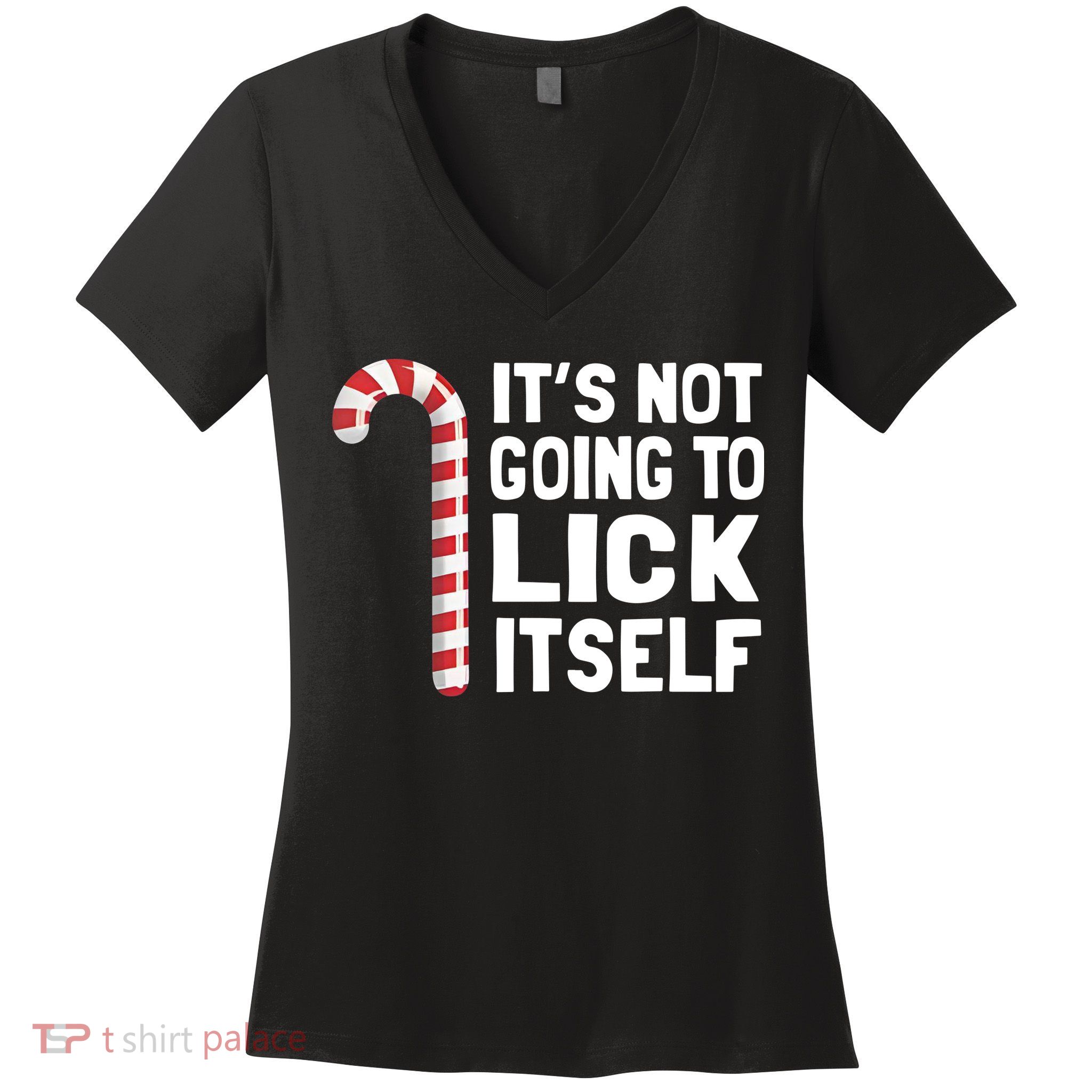 ItS Not Going To Lick Itself Women's V-Neck T-Shirt